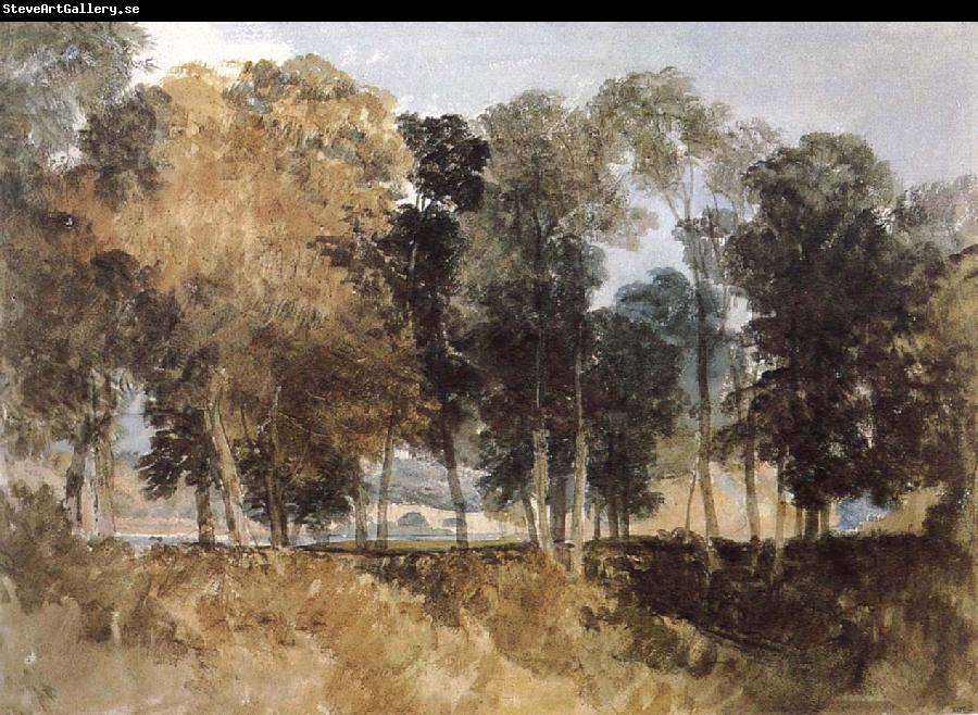 Joseph Mallord William Turner Forest